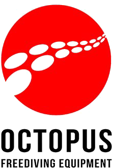Collection image for: Octopus