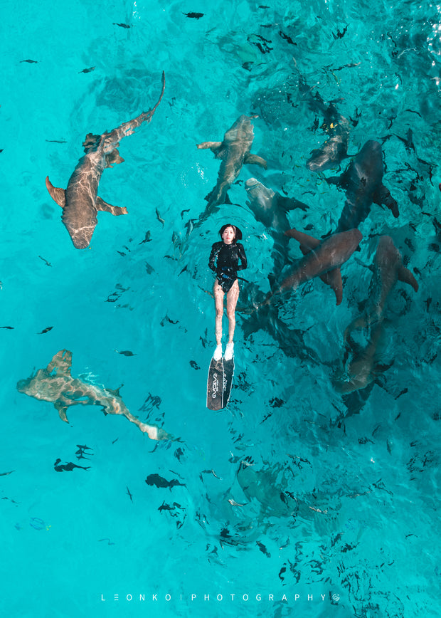 <p>EVOLVE APNEA</p><h2>Freediving Evolved</h2>