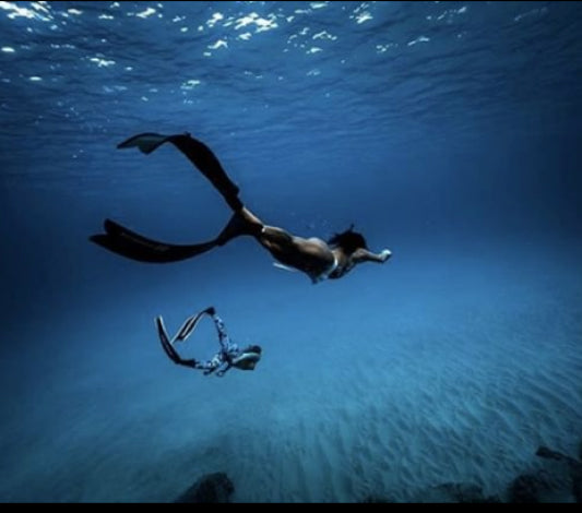 Evolve Apnea gallery photo 2